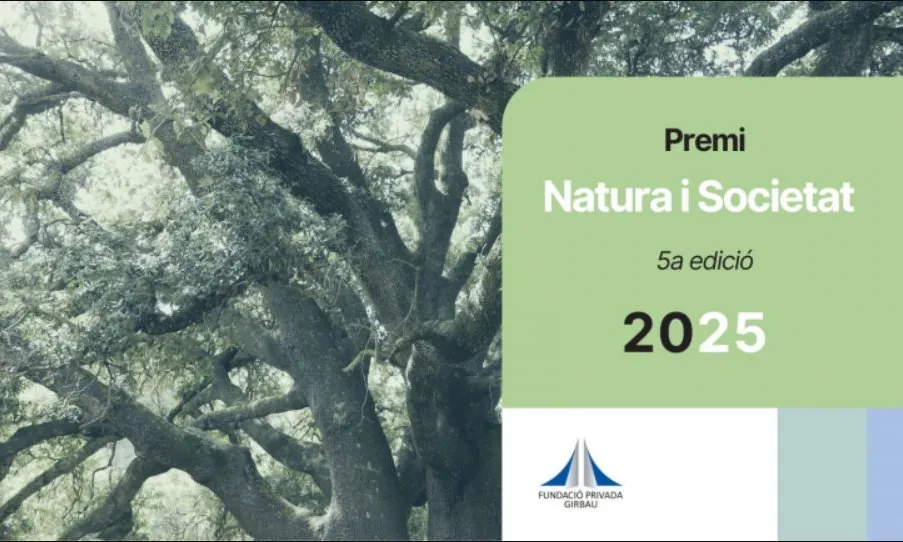 Cartell del premi Cartell del premi