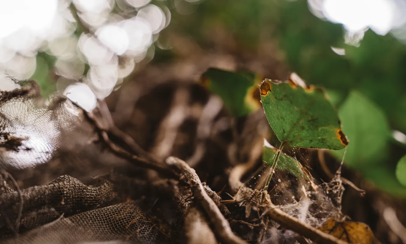 La XCN posa el focus en la inacció del Govern davant l’emergència climàtica i ecològica.