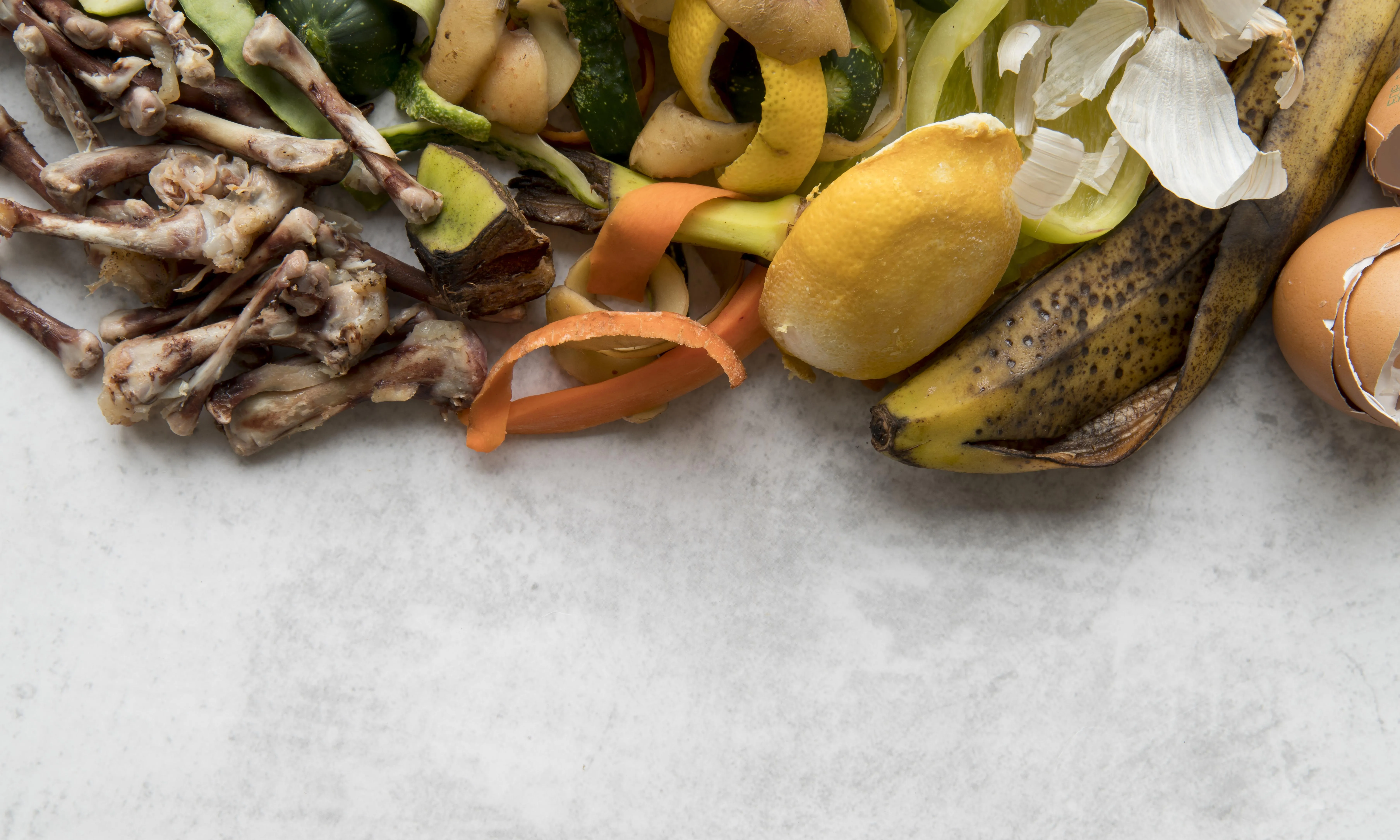 El valor dels aliments és un altre projecte d'ENT per combatre el malbaratament alimentari.