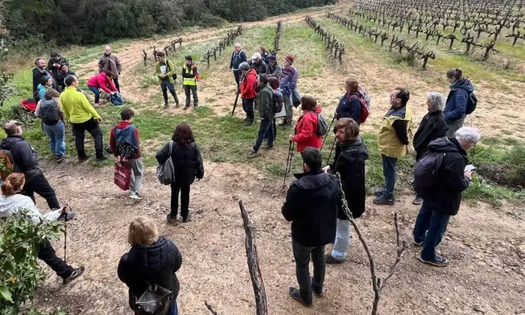El projecte d’agroparc que Ametller Origen vol impulsar entre Gelida i Sant Llorenç d’Hortons preveu la centralització de les seves naus logístiques i industrials en un espai agrícola i ecològicament protegit de 322 hectàrees.