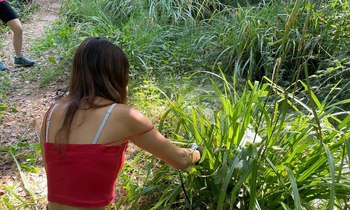 Tasques de millora i manteniment de l’espai