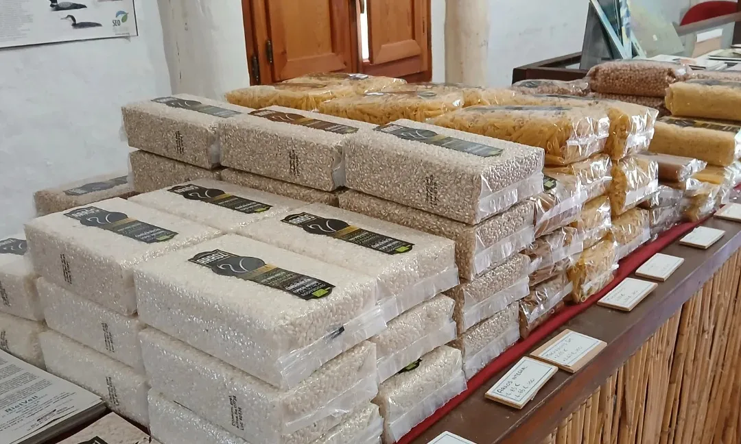 La Reserva de Riet Vell és un dels espais naturals del Delta de l'Ebre gestionats per SEO BirdLife.