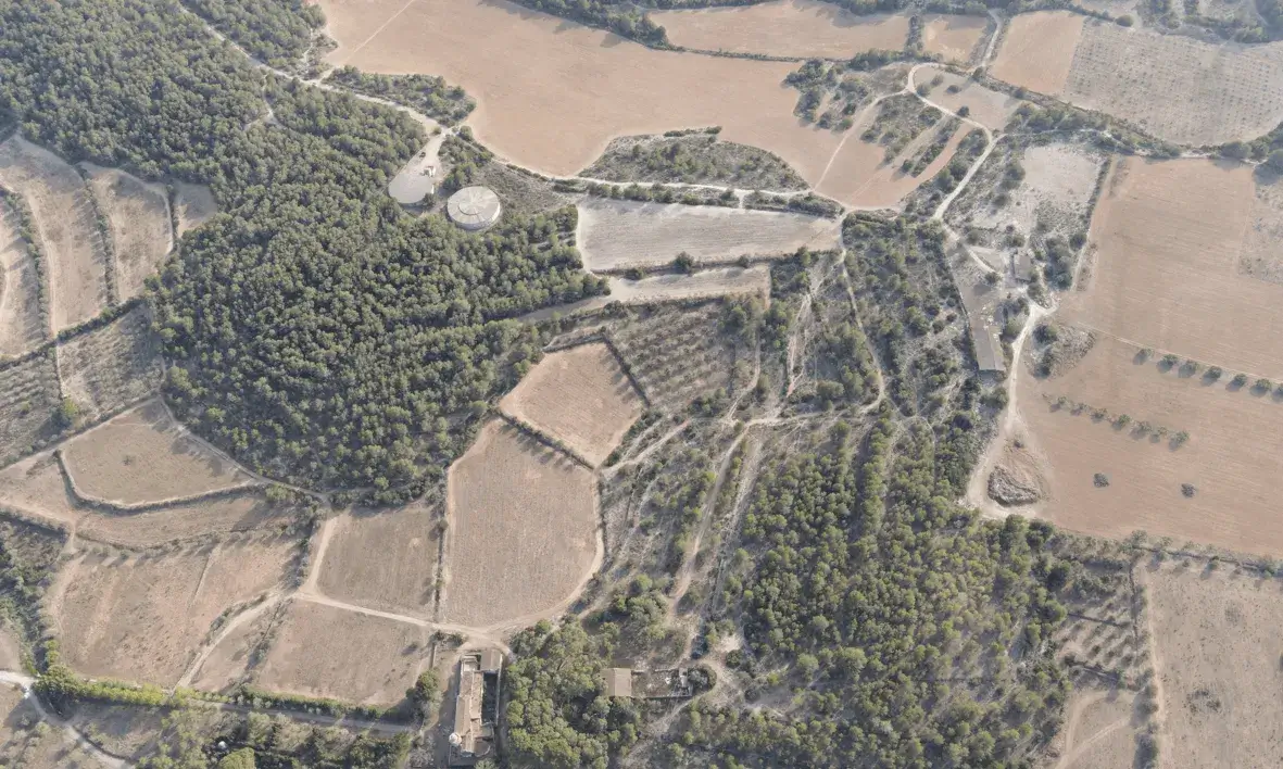 Vista aèria d'un camps i territori boscós