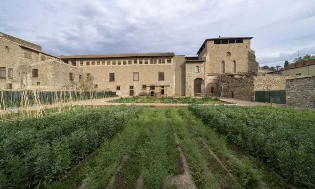 Imatge de l'hort medieval del Monestir de Pedralbes, amb part del monestir de fons.