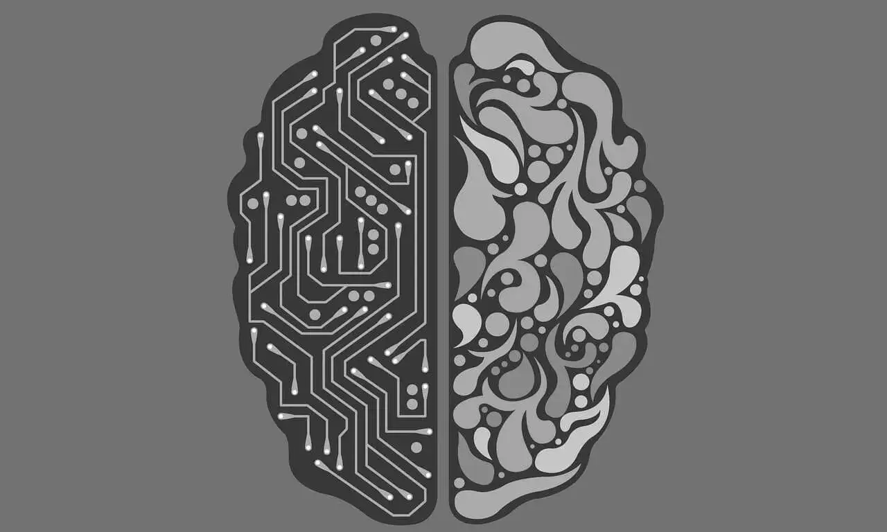il·lustració d'un cervell. 