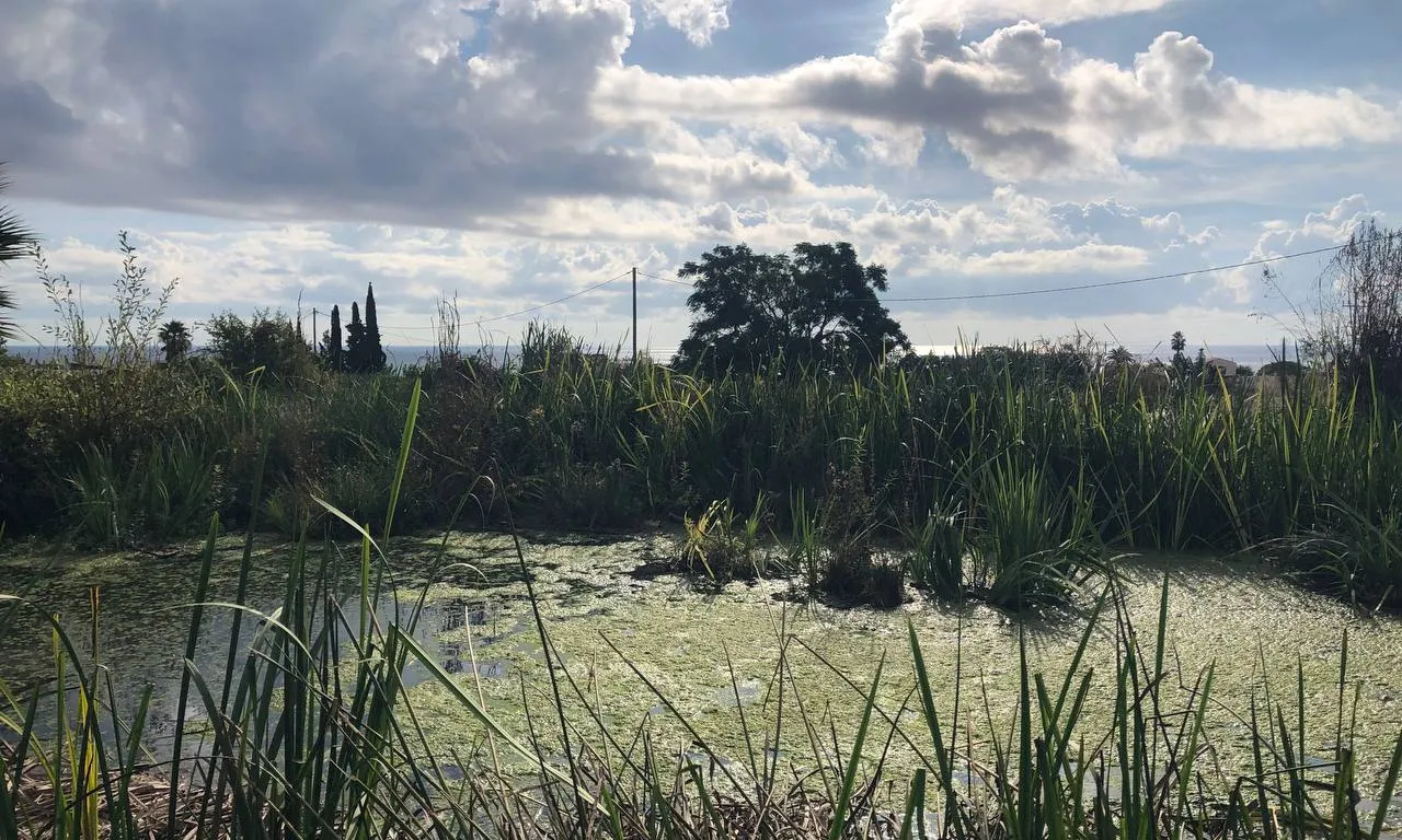 Imatge d'una bassa agrícola.