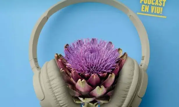 Cartell promocional del curs