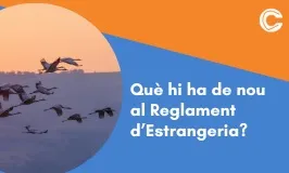 CURS EN LÍNIA