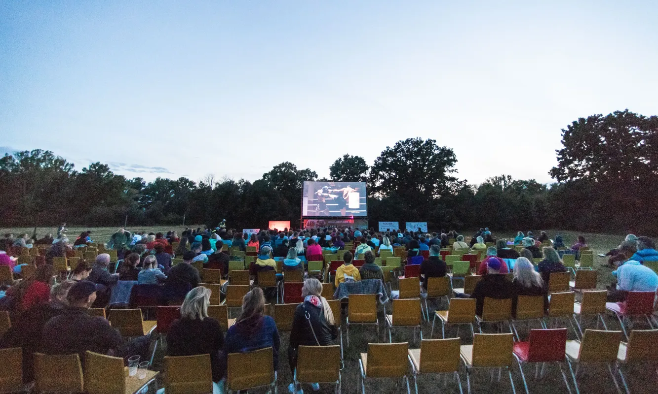 El cinema a l'aire lliure és una de les propostes de Bohemia Kollectiv.